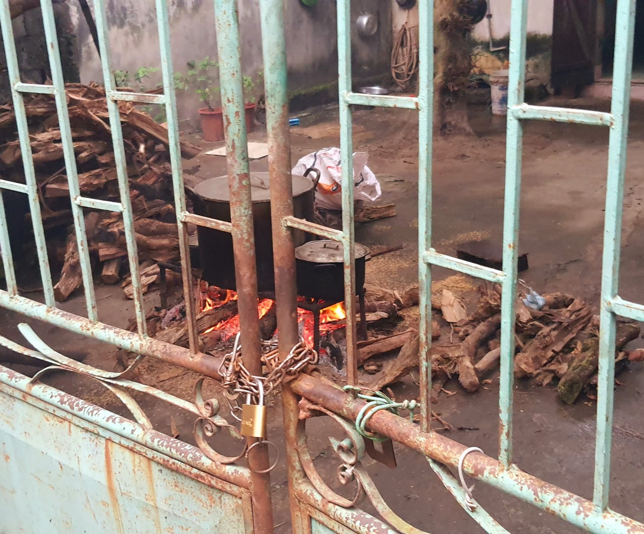 Cứ lặng thầm và lắng nghe, mùa xuân nói biết bao điều - Ảnh 2. Cứ lặng thầm và lắng nghe, mùa xuân nói biết bao điều - Ảnh 2.