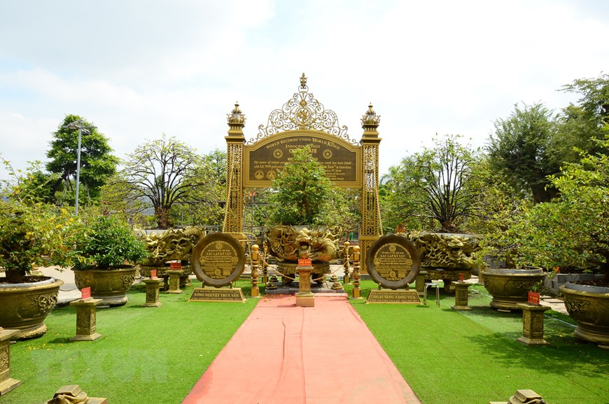 Bộ sưu tập 10 cây mai vàng của một người Đồng Tháp đạt kỷ lục thế giới - Ảnh 2. Bộ sưu tập 10 cây mai vàng của một người Đồng Tháp đạt kỷ lục thế giới - Ảnh 2.