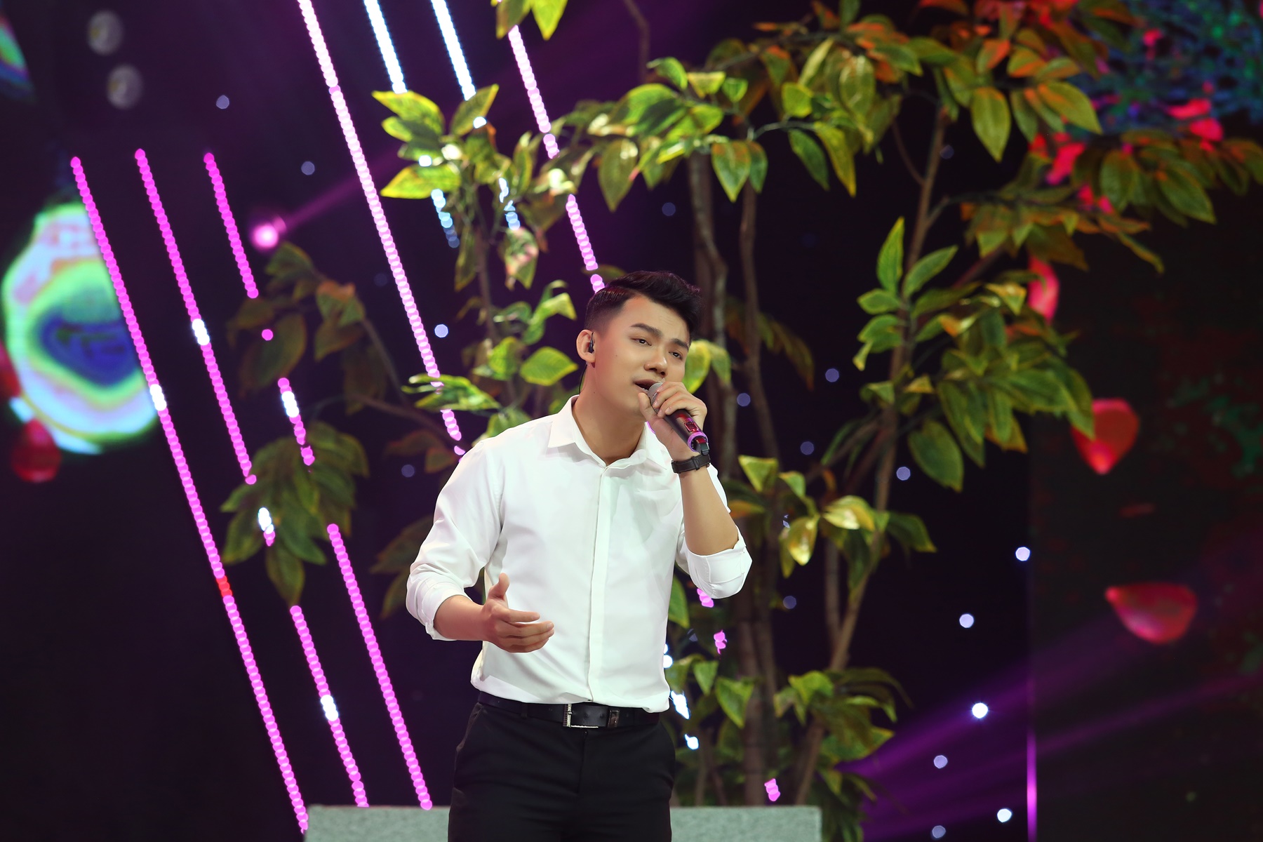 Hòa nhạc cùng chàng trai viết lên cây Phan Mạnh Quỳnh; Trấn Thành mắc COVID-19 - Ảnh 6. Hòa nhạc cùng chàng trai viết lên cây Phan Mạnh Quỳnh; Trấn Thành mắc COVID-19 - Ảnh 6.