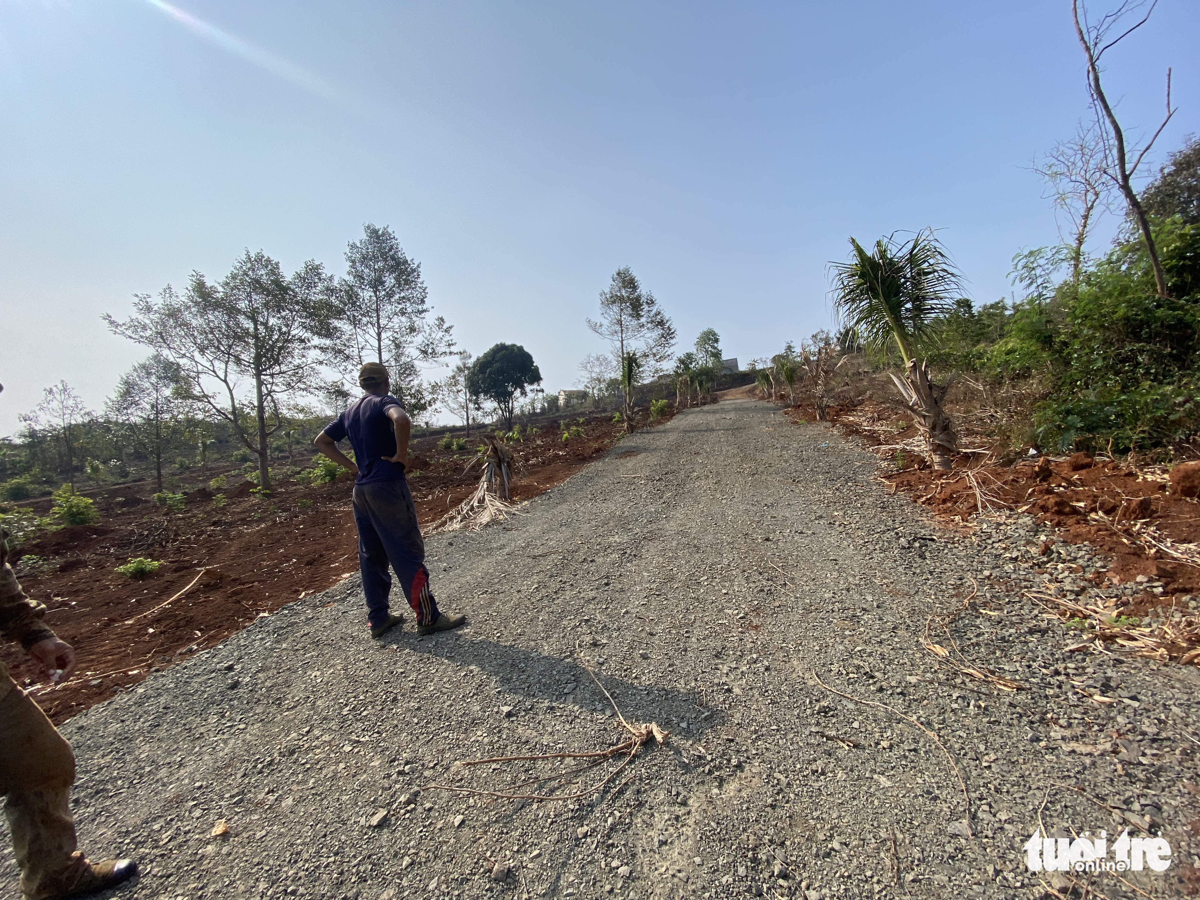 Buôn Ma Thuột tràn lan phân lô bán nền đất rẫy - Ảnh 3. Buôn Ma Thuột tràn lan phân lô bán nền đất rẫy - Ảnh 3.