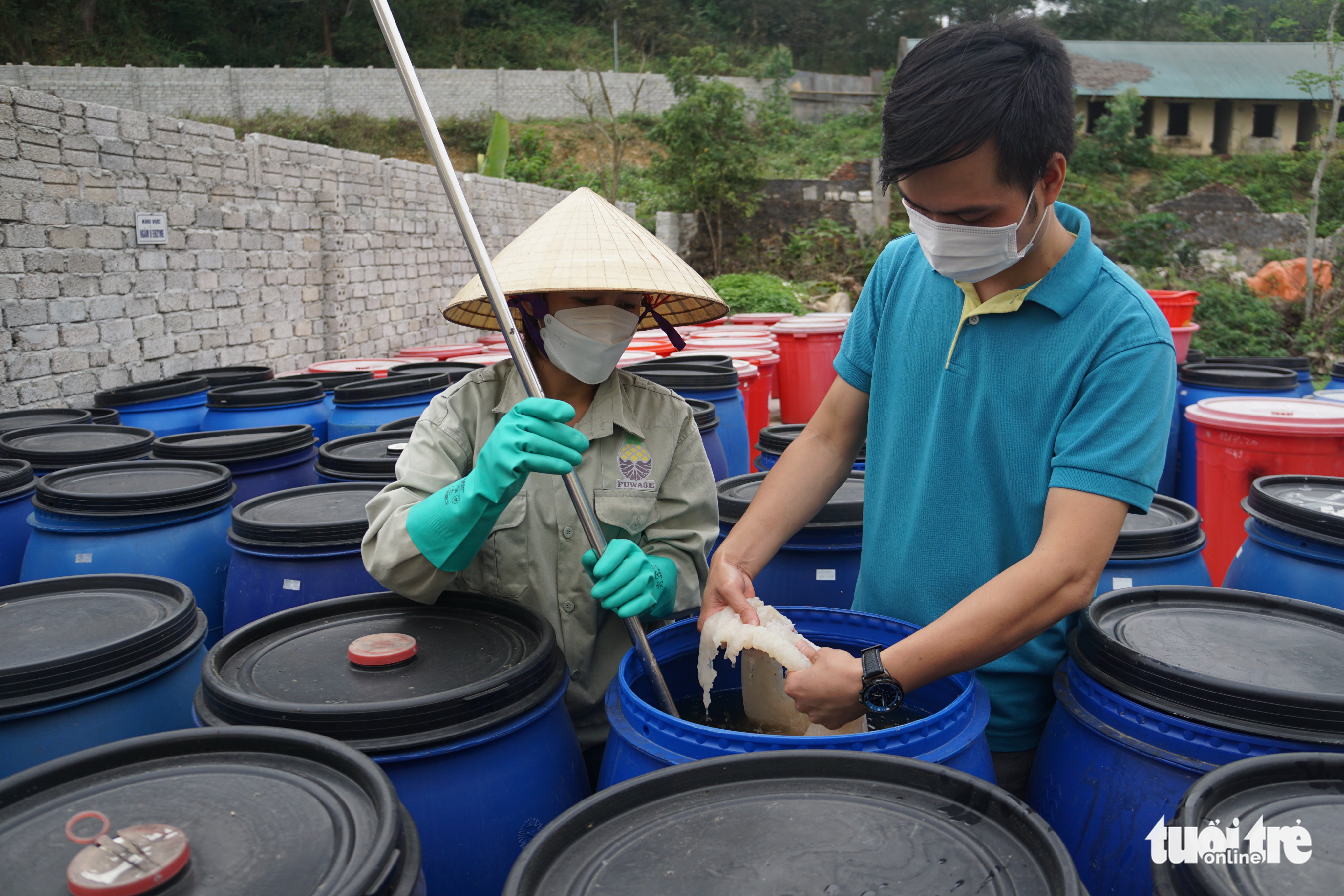 Khởi nghiệp biến vỏ dứa thành tiền - Ảnh 4. Khởi nghiệp biến vỏ dứa thành tiền - Ảnh 4.