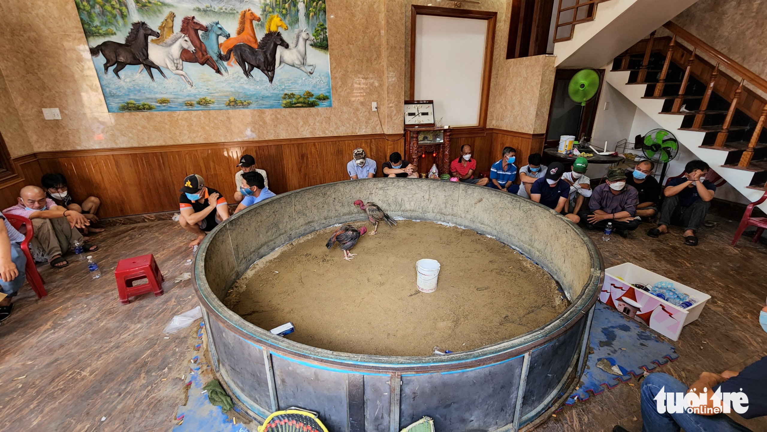 Đà Nẵng: Trên 40 người sát phạt trong sới gà - Ảnh 1. Đà Nẵng: Trên 40 người sát phạt trong sới gà - Ảnh 1.