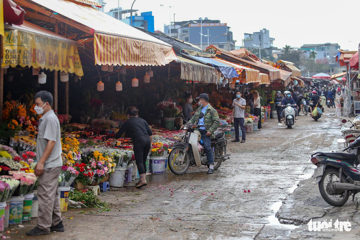 Sát 8-3, chợ hoa lớn nhất Hà Nội vẫn vắng, giá hoa rẻ - Ảnh 9.
