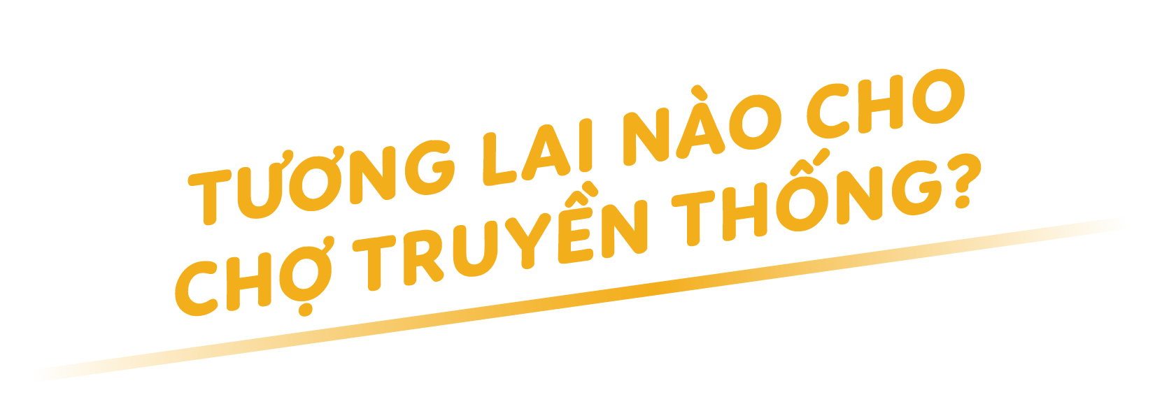 Chợ truyền thống ở đô thị - Ảnh 13.