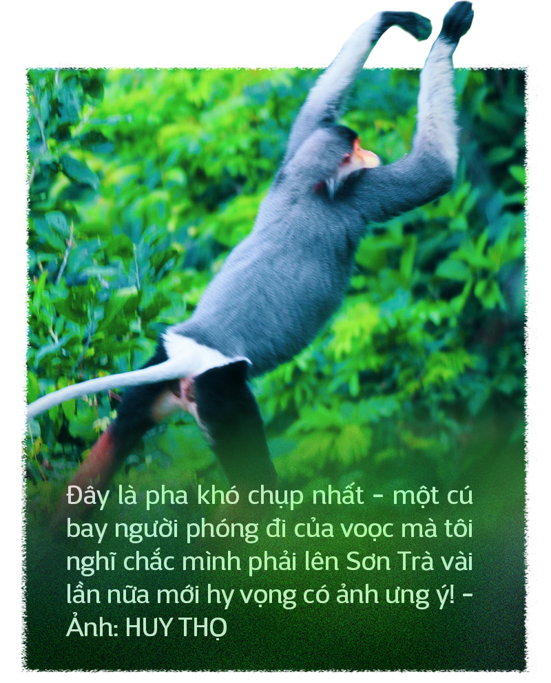 Du lịch chụp ảnh voọc: Tour hay, ít phổ biến - Ảnh 13.