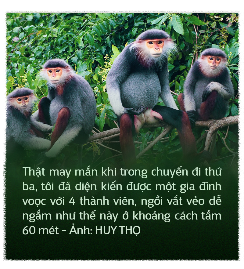 Du lịch chụp ảnh voọc: Tour hay, ít phổ biến - Ảnh 5.