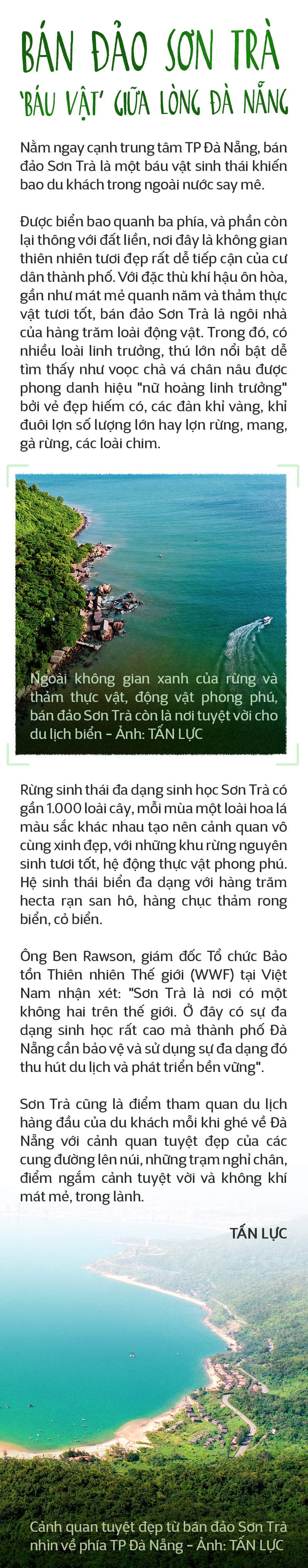 Du lịch chụp ảnh voọc: Tour hay, ít phổ biến - Ảnh 6.