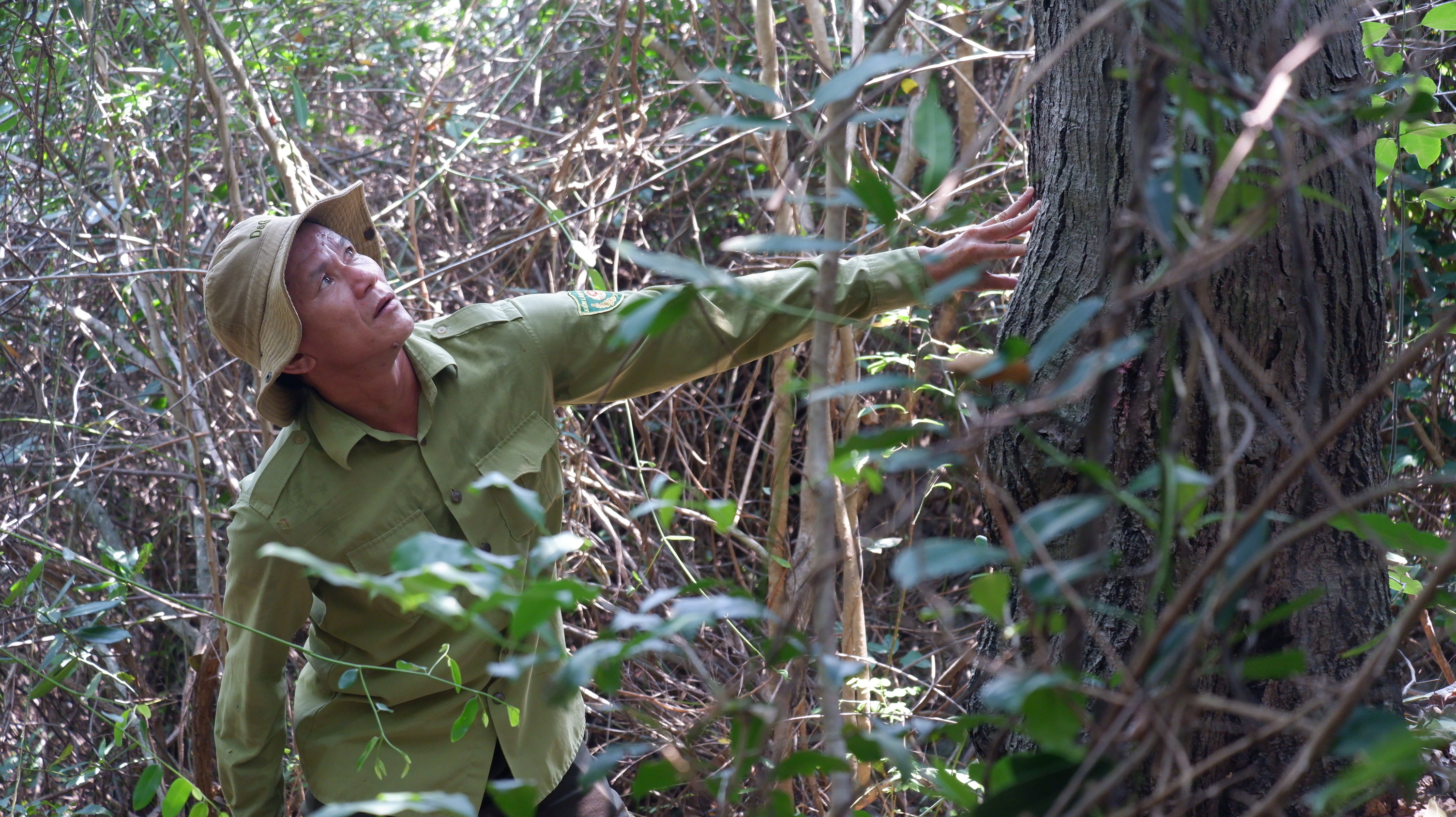 Núi Chúa - rừng thiêng huyền bí - Kỳ 5: Người con rể Núi Chúa xách súng rượt kẻ mua rừng - Ảnh 1. Núi Chúa - rừng thiêng huyền bí - Kỳ 5: Người con rể Núi Chúa xách súng rượt kẻ mua rừng - Ảnh 1.