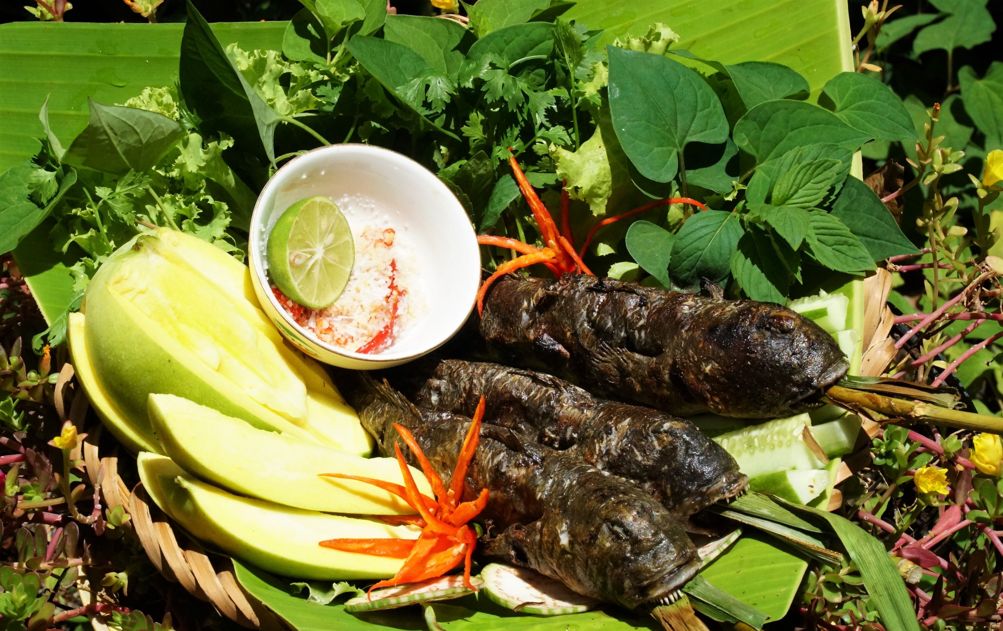 Người nuôi con cá... có chân - Ảnh 3. Người nuôi con cá... có chân - Ảnh 3.