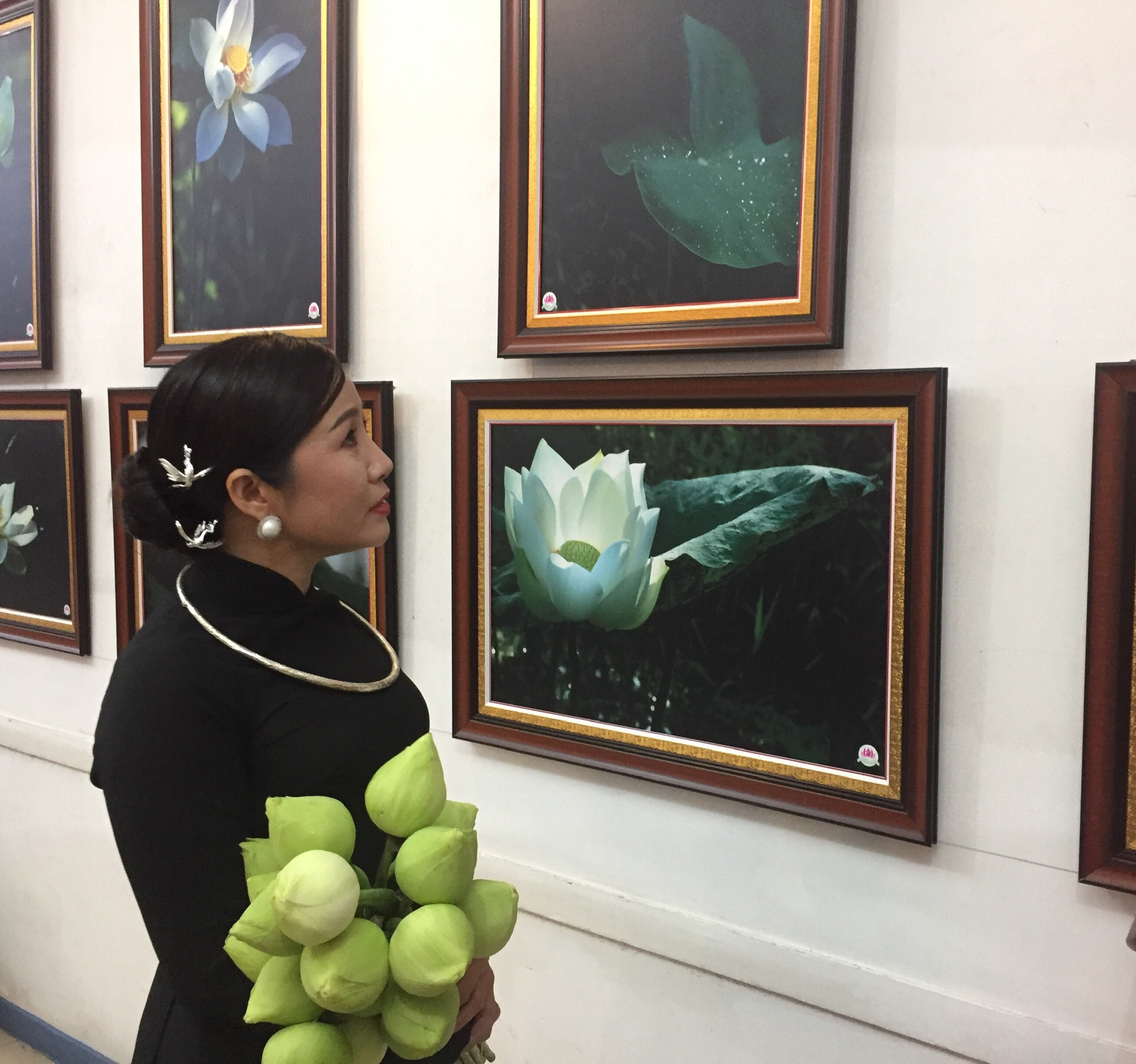 Thành Xuân Anh với những bức ảnh sen dâng thầy - Ảnh 3. Thành Xuân Anh với những bức ảnh sen dâng thầy - Ảnh 3.