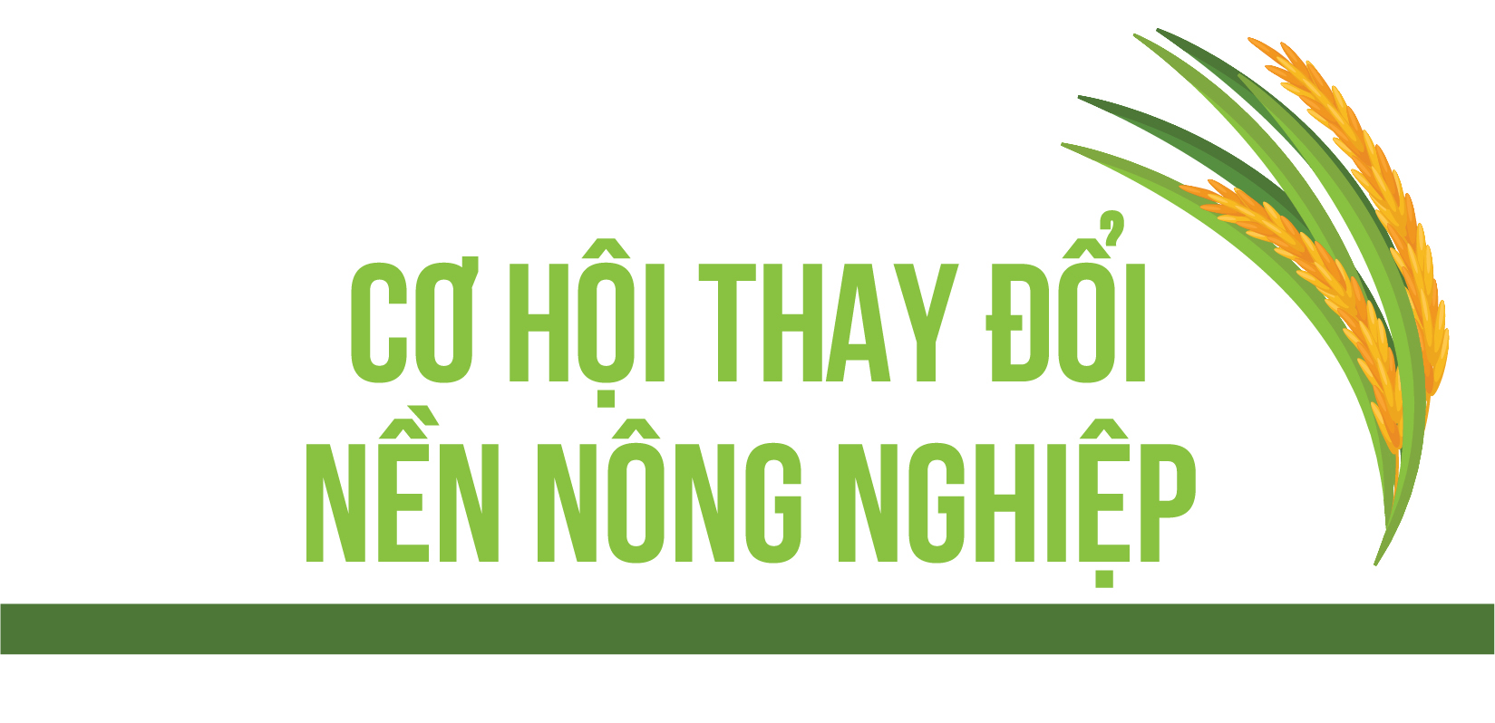 Bộ trưởng Lê Minh Hoan: Bước qua nền nông nghiệp đánh đổi - Ảnh 7.