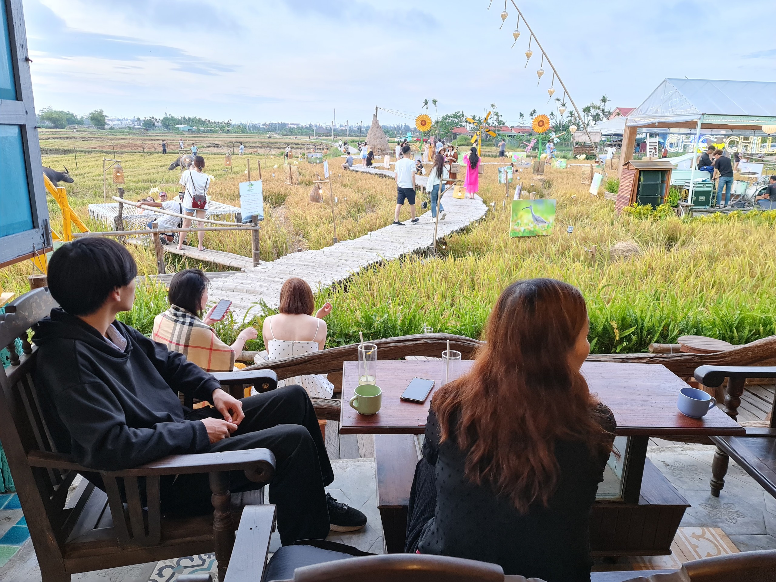 Cánh đồng lúa ST25 chín vàng được biến thành không gian triển lãm ảnh - Ảnh 2. Cánh đồng lúa ST25 chín vàng được biến thành không gian triển lãm ảnh - Ảnh 2.