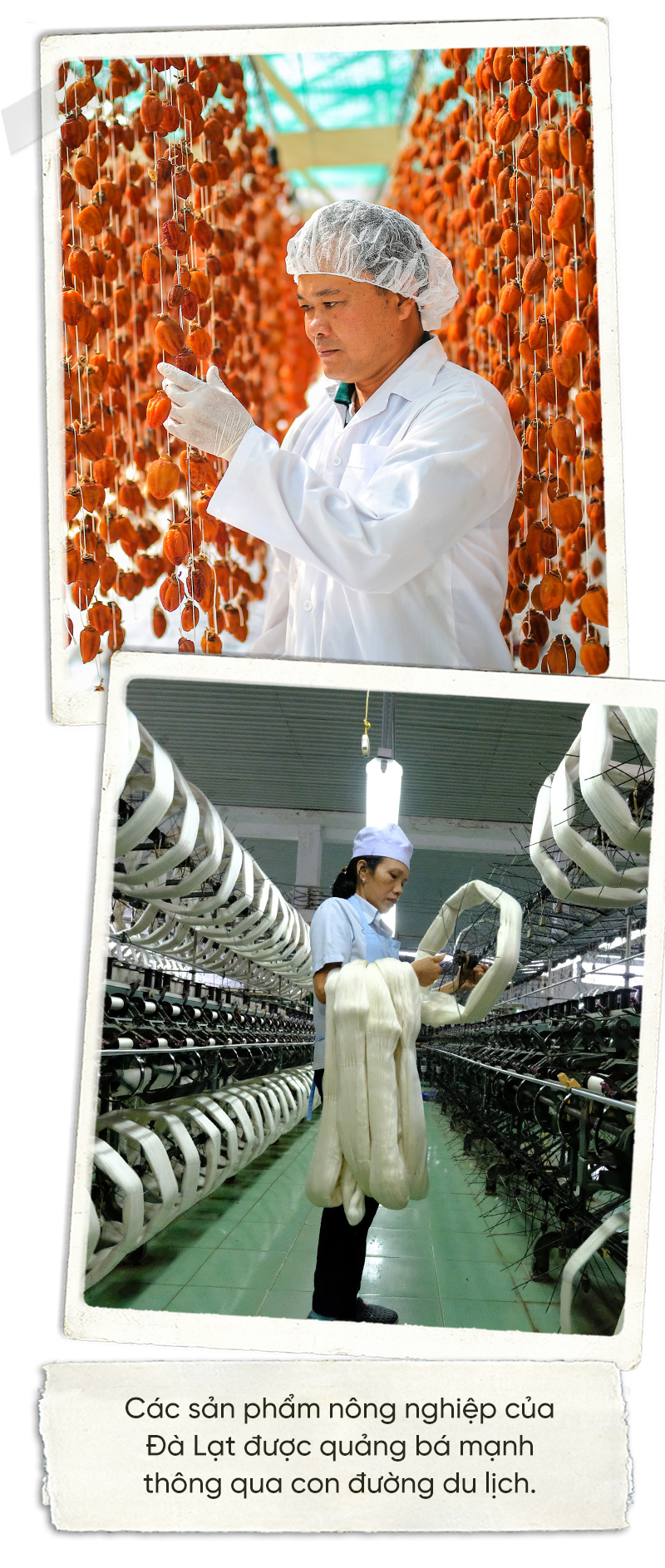 Đà Lạt vào cuộc đua phục hồi du lịch với 3 môn phối hợp - Ảnh 15.