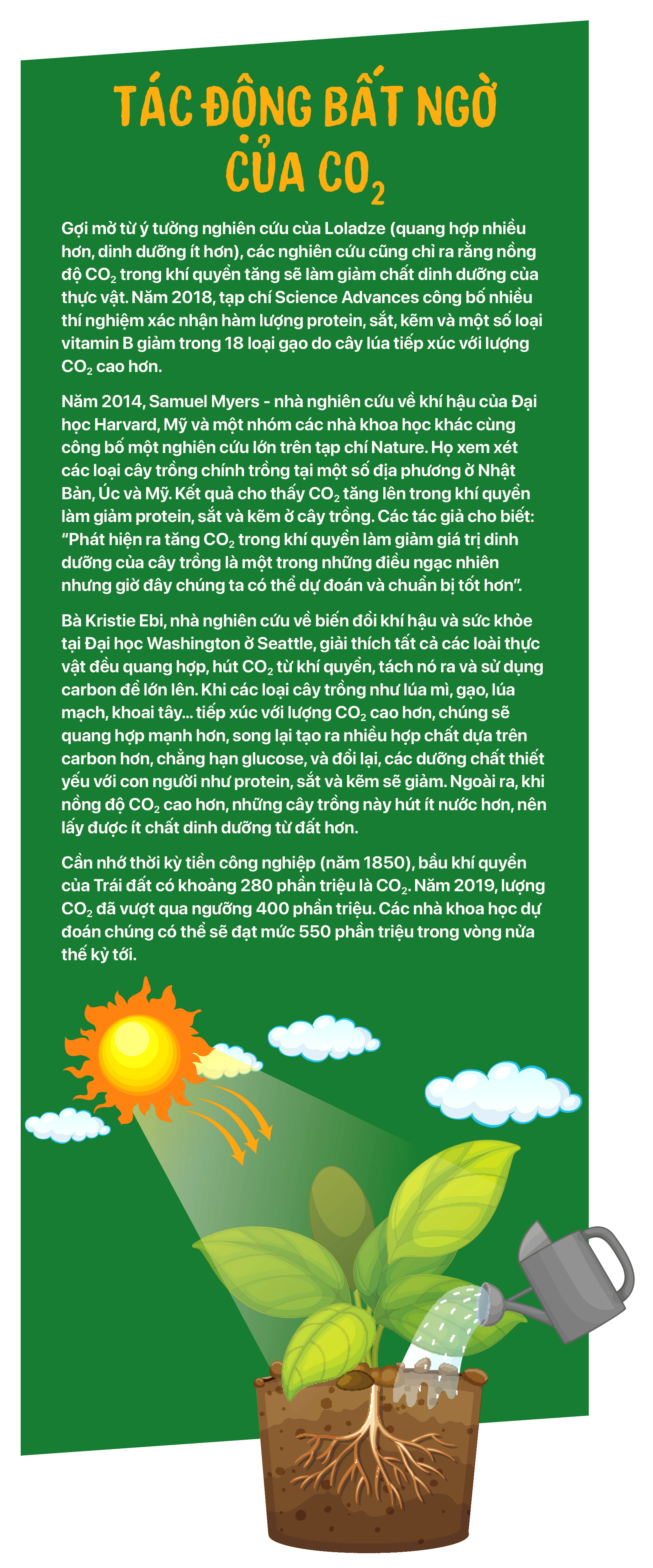 Chuyện của rau và chuyện những món ăn sắp tuyệt chủng - Ảnh 7.