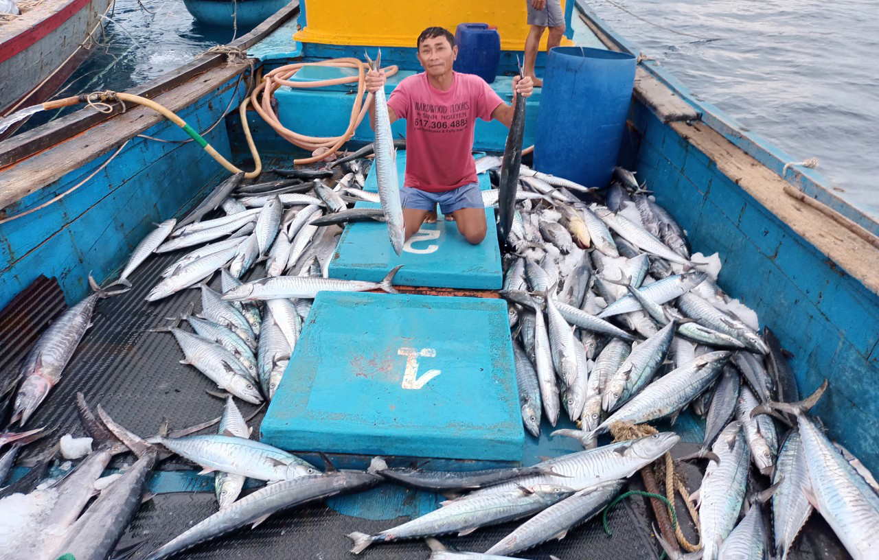 Bẫy cá đại dương - Ảnh 2.