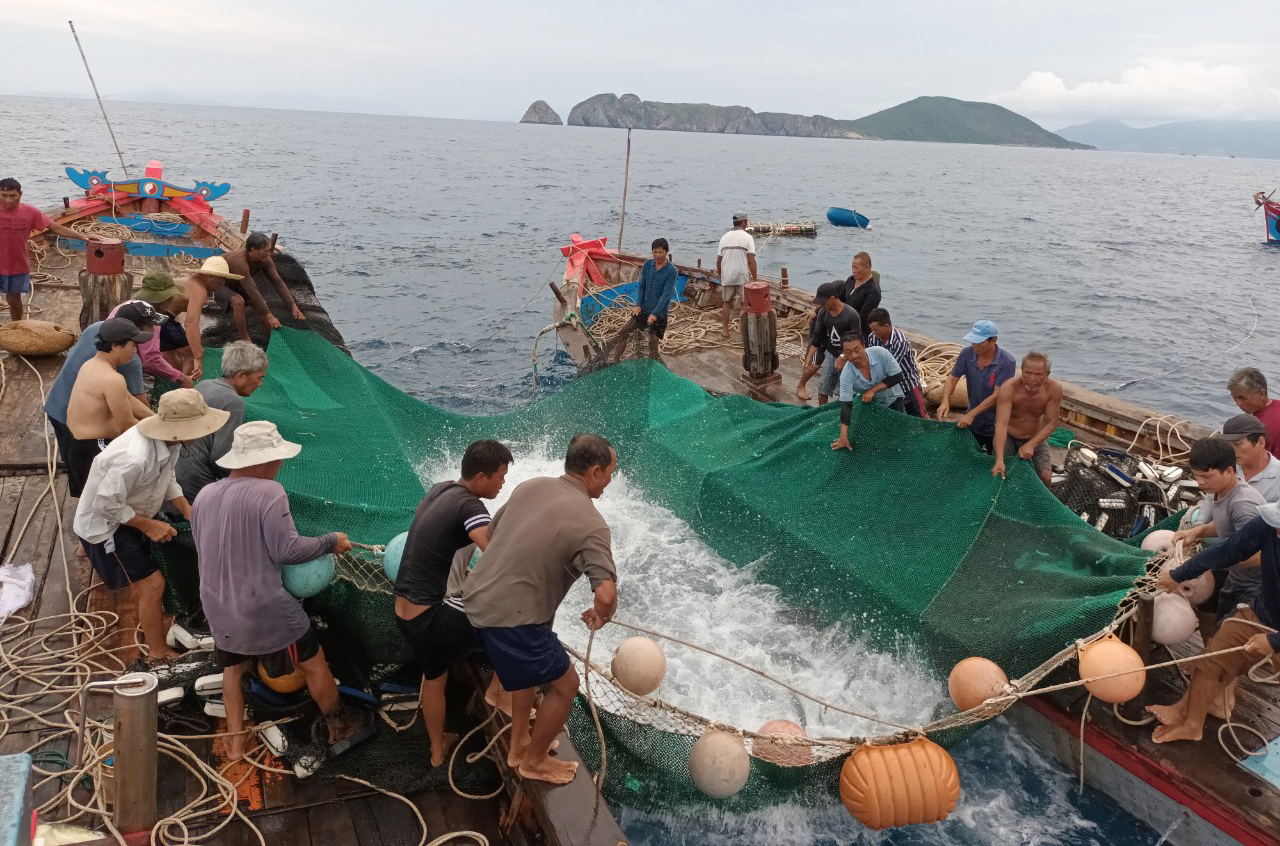 Bẫy cá đại dương - Ảnh 1.