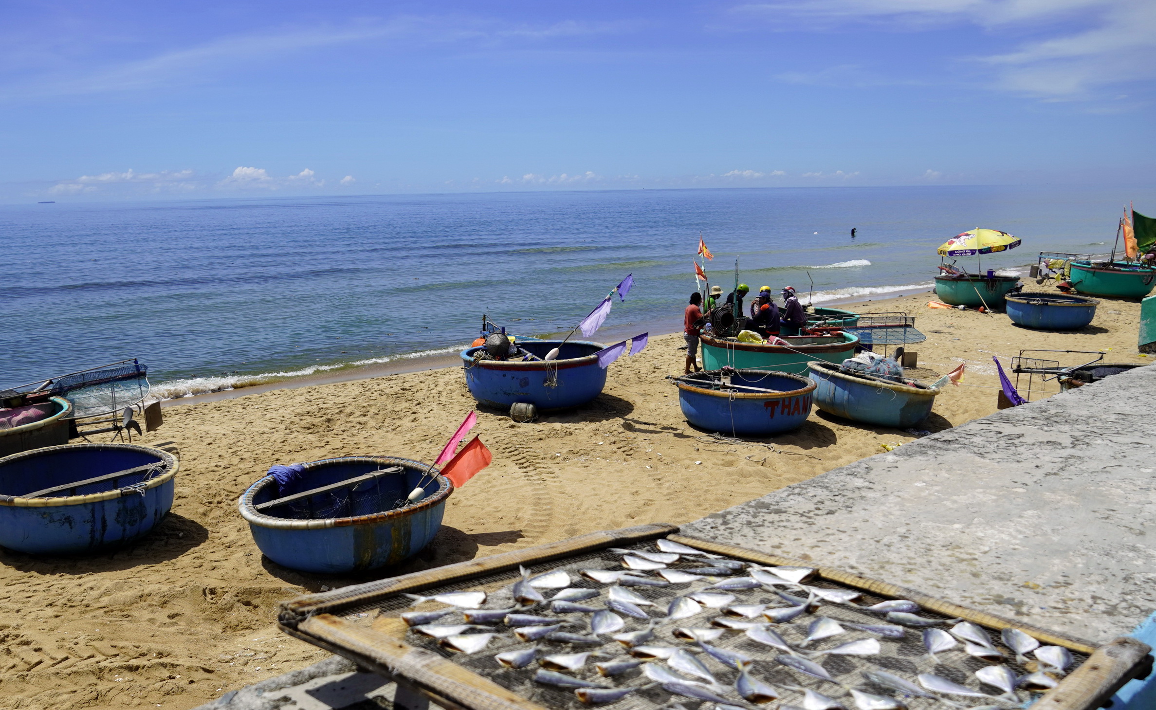 Độc đáo nghề nghe tiếng cá - Ảnh 3. Độc đáo nghề nghe tiếng cá - Ảnh 3.