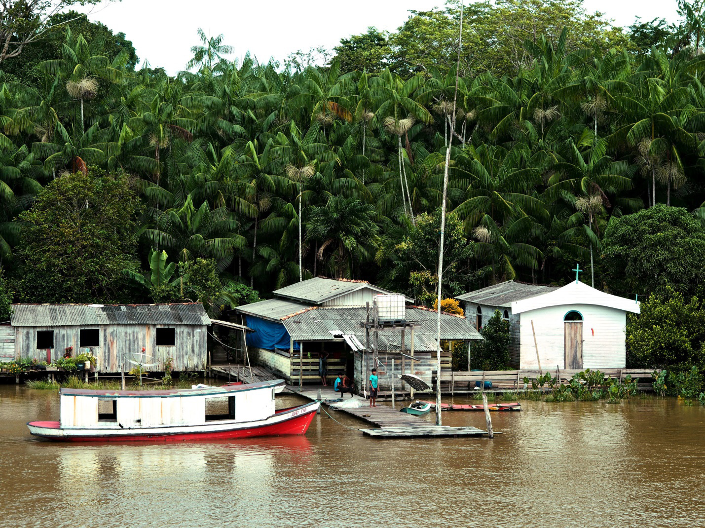 Vì sao không có cây cầu nào bắc qua sông Amazon? - Ảnh 3. Vì sao không có cây cầu nào bắc qua sông Amazon? - Ảnh 3.