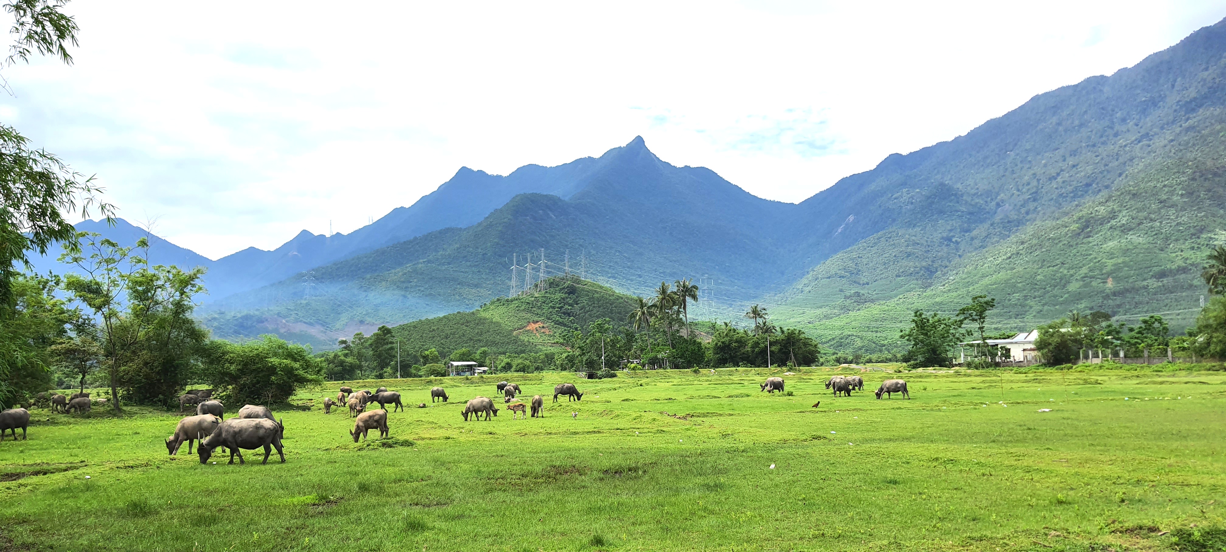 Hói Mít hết cười ra nước mắt - Ảnh 1. Hói Mít hết cười ra nước mắt - Ảnh 1.