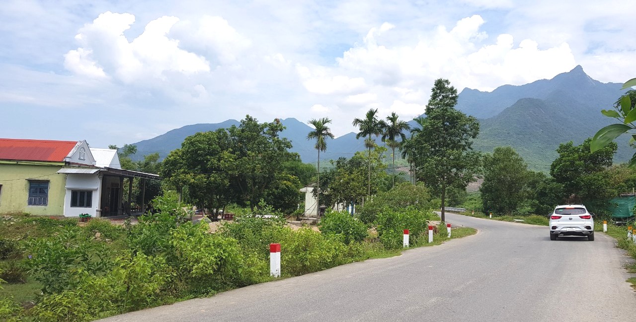 Hói Mít hết cười ra nước mắt - Ảnh 4. Hói Mít hết cười ra nước mắt - Ảnh 4.