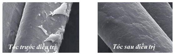 Dầu gội Wakamono chứa hoạt chất nano dầu olive - Ảnh 2. Dầu gội Wakamono chứa hoạt chất nano dầu olive - Ảnh 2.