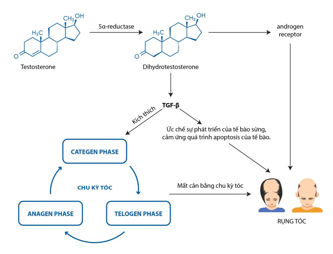 Dầu gội Wakamono chứa hoạt chất nano dầu olive - Ảnh 3. Dầu gội Wakamono chứa hoạt chất nano dầu olive - Ảnh 3.