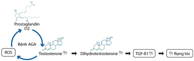 Dầu gội Wakamono chứa hoạt chất nano dầu olive - Ảnh 4. Dầu gội Wakamono chứa hoạt chất nano dầu olive - Ảnh 4.
