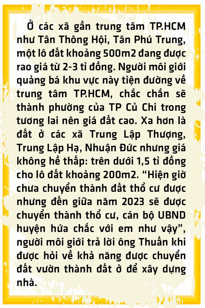 Quy hoạch và thông tin vịt - Ảnh 2.