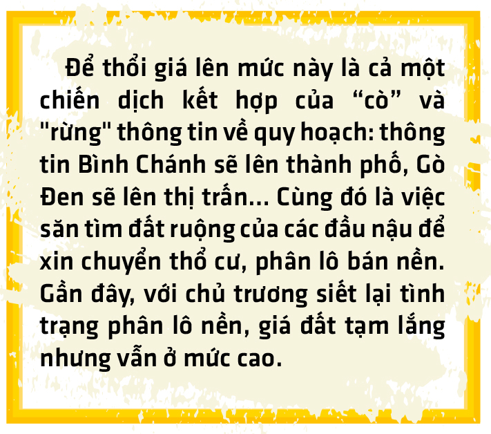 Quy hoạch và thông tin vịt - Ảnh 7.