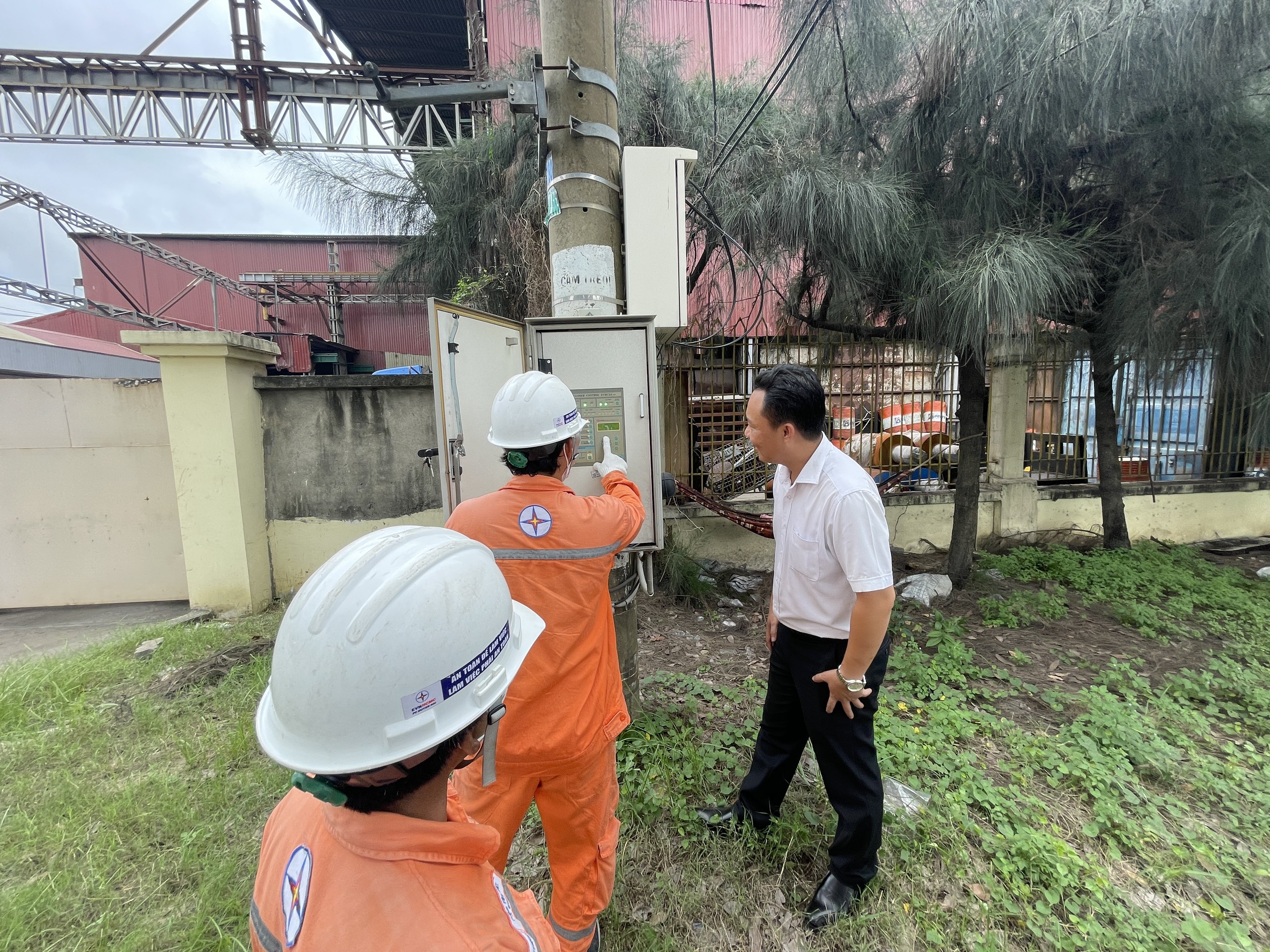 Cấp điện cho vùng nhiều sông rạch nhất TP.HCM ra sao? - Ảnh 1.