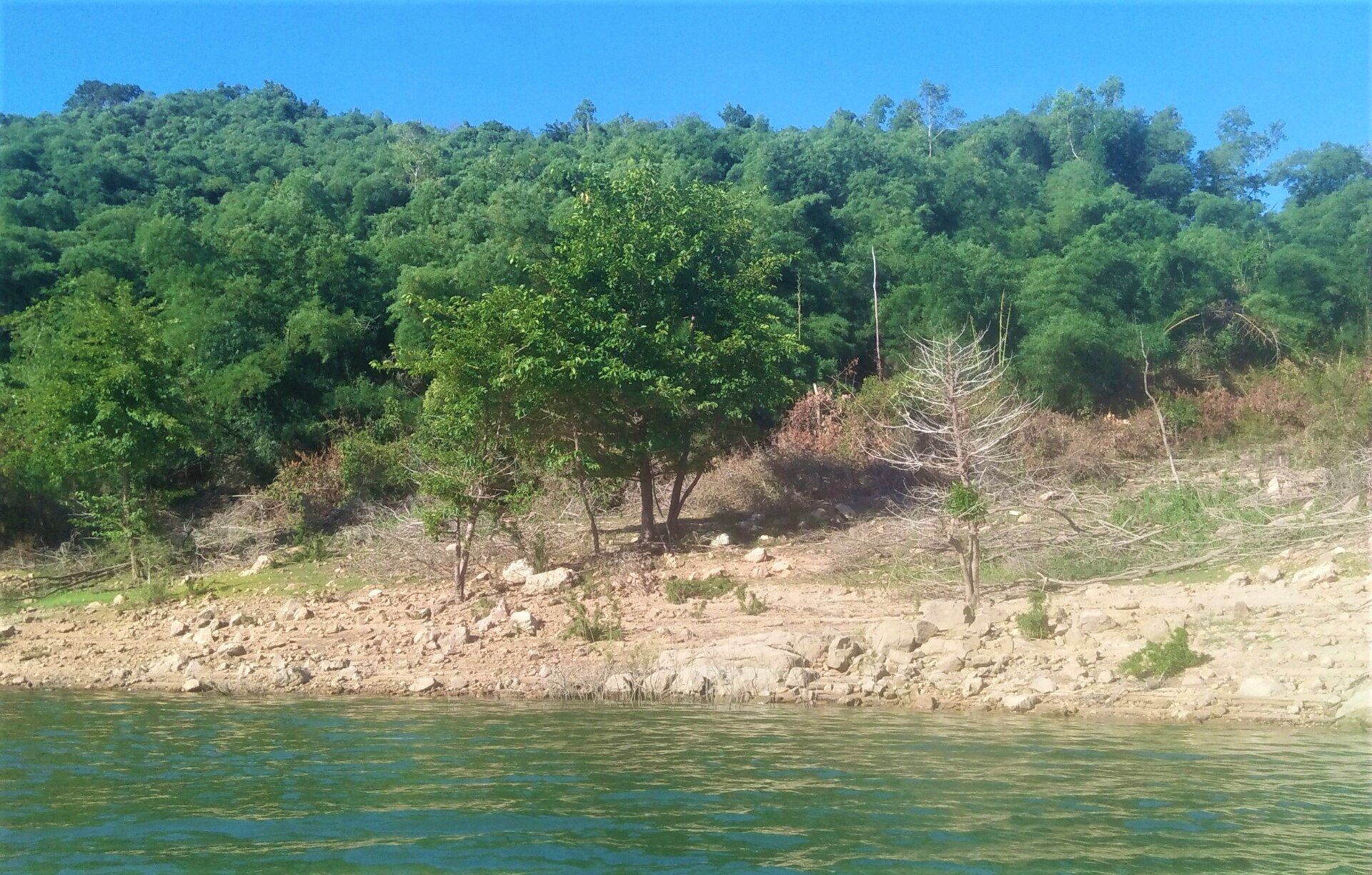 20220714 dat ong Kim 20220714 dat ong Kim