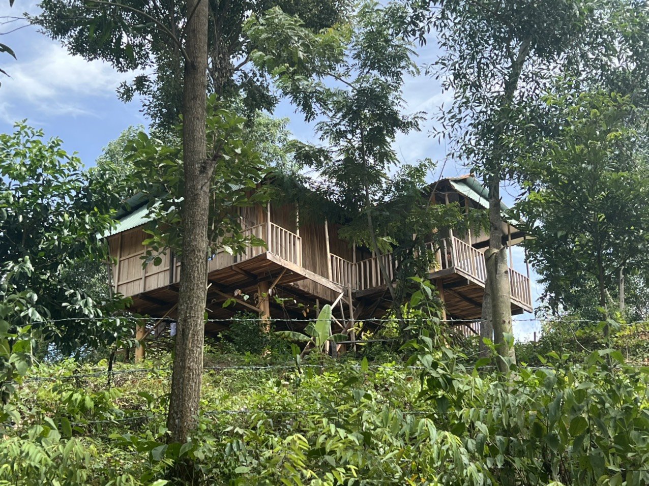 Nếu vợ chánh án huyện không tháo dỡ nhà ở rừng phòng hộ, sẽ cưỡng chế nhà và xử lý chồng - Ảnh 1. Nếu vợ chánh án huyện không tháo dỡ nhà ở rừng phòng hộ, sẽ cưỡng chế nhà và xử lý chồng - Ảnh 1.