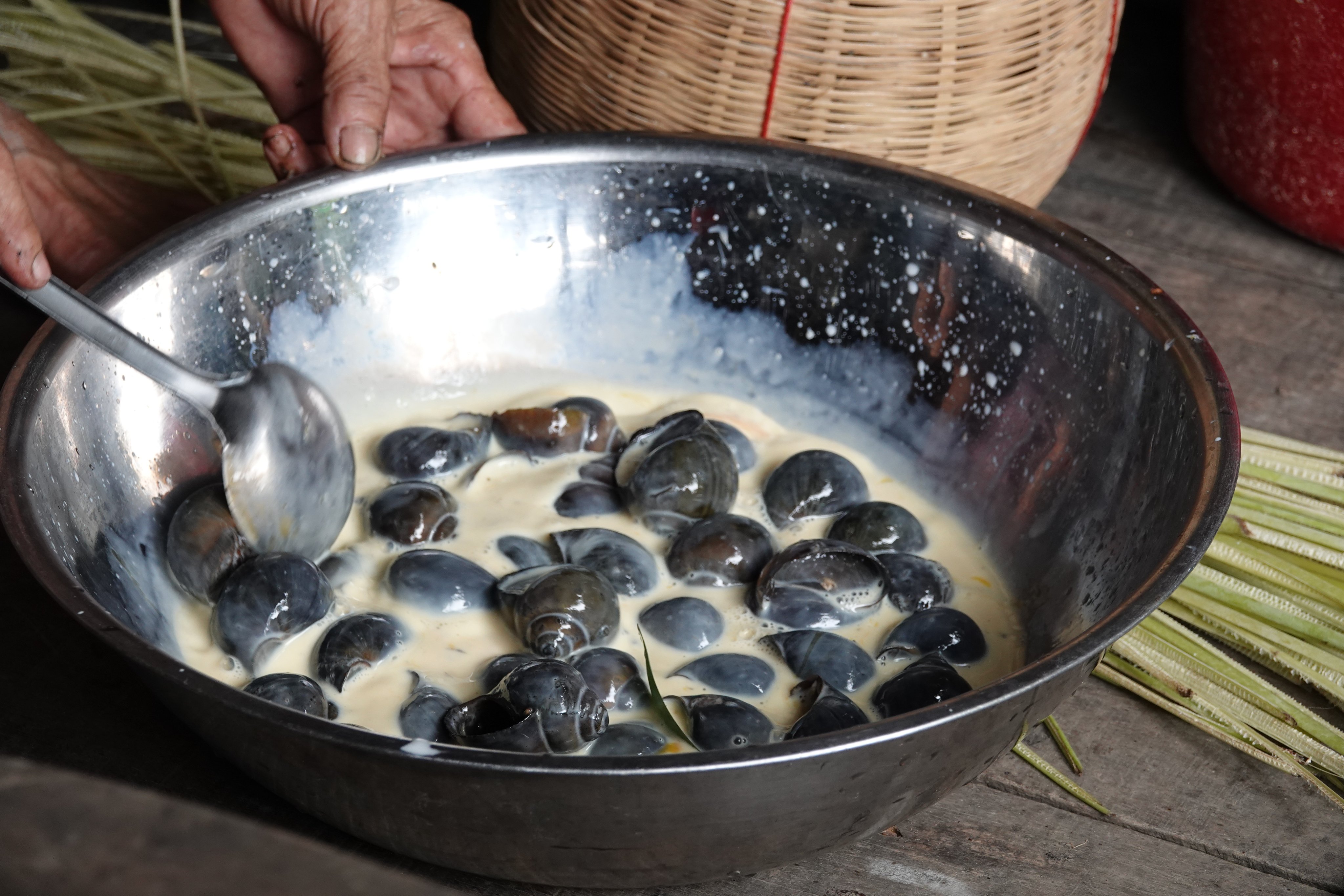 Ốc gác bếp hun khói, ngâm sữa trứng rồi luộc sả chấm cơm mẻ... ngon quên đường về - Ảnh 4. Ốc gác bếp hun khói, ngâm sữa trứng rồi luộc sả chấm cơm mẻ... ngon quên đường về - Ảnh 4.