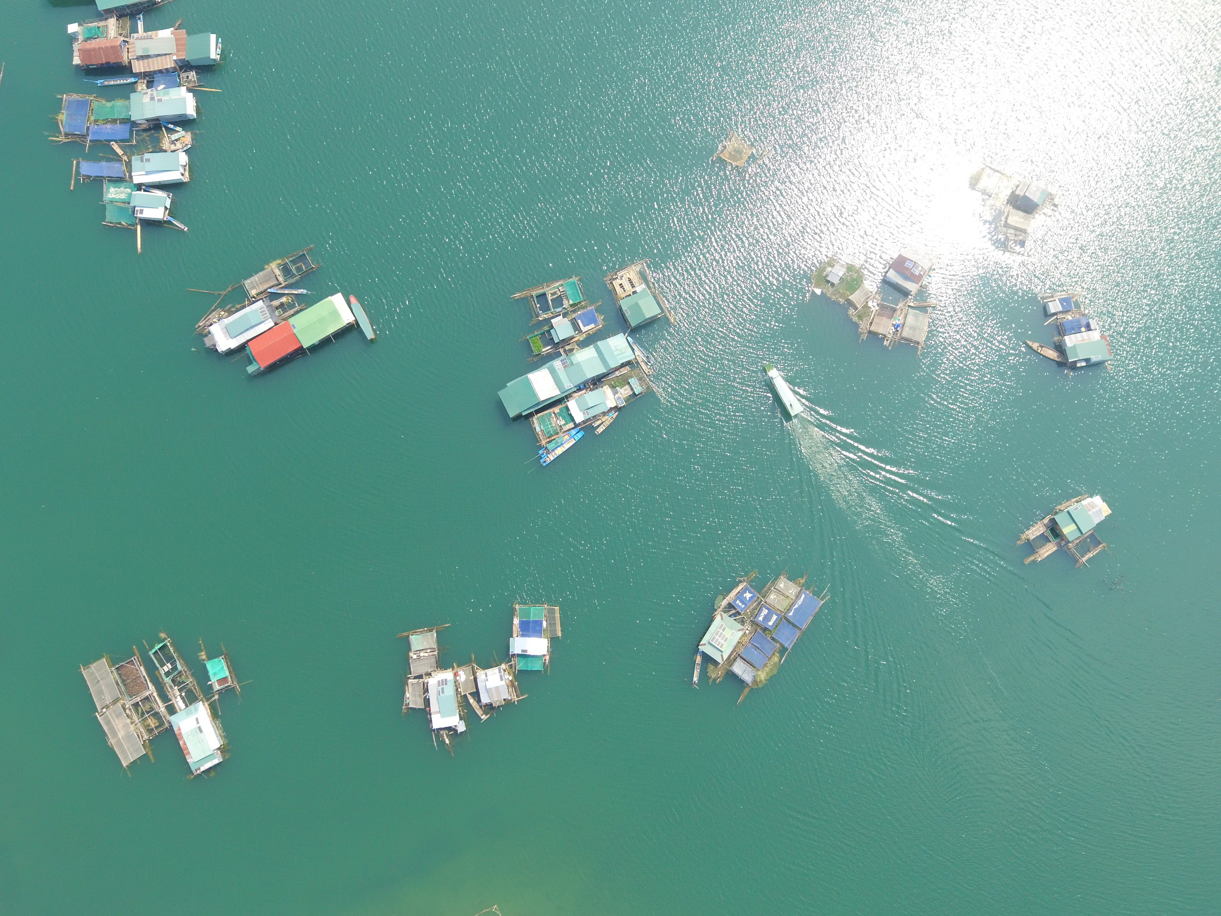 Ngư dân miền Tây lên núi... lưới cá - Ảnh 1. Ngư dân miền Tây lên núi... lưới cá - Ảnh 1.