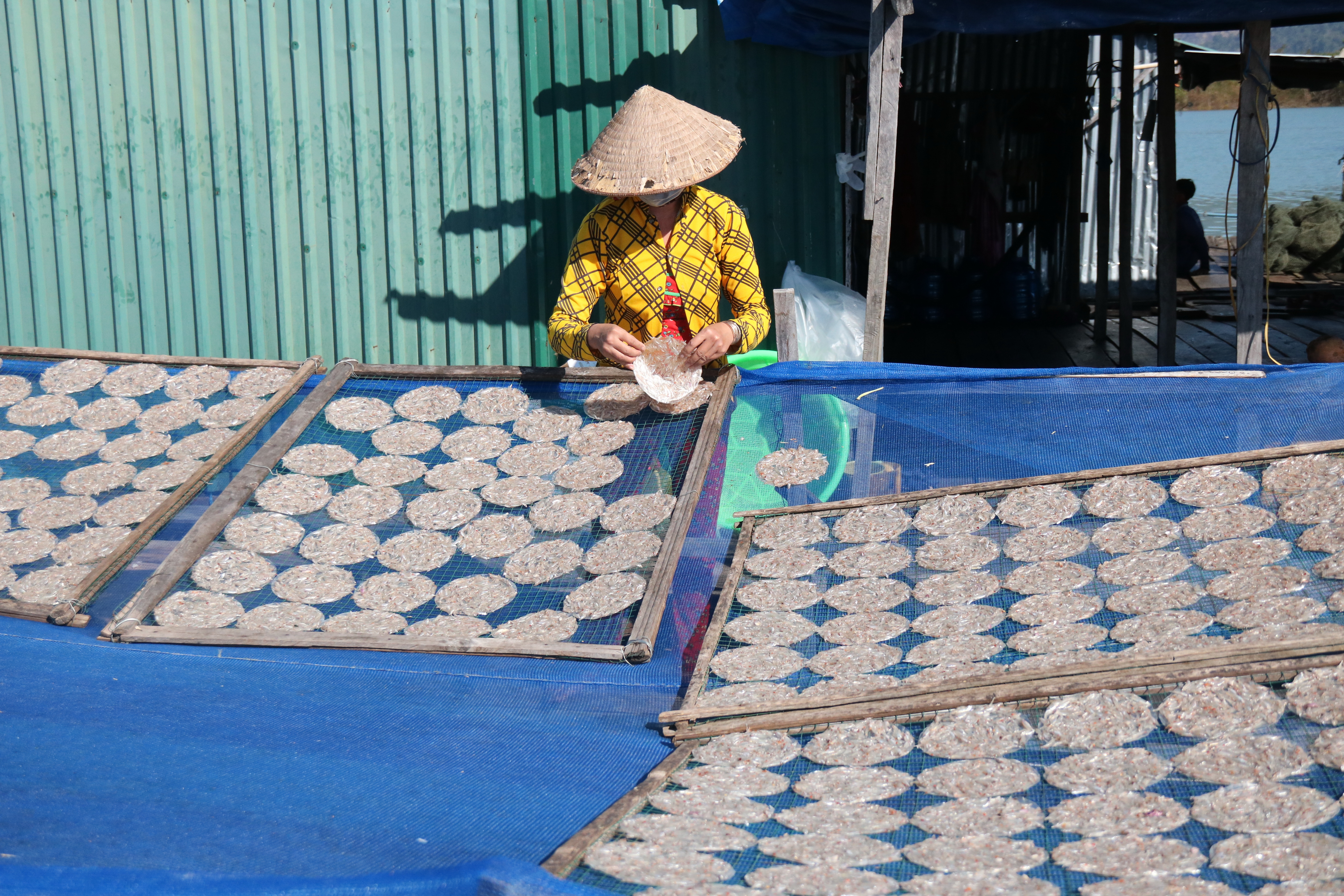 Ngư dân miền Tây lên núi... lưới cá - Ảnh 3. Ngư dân miền Tây lên núi... lưới cá - Ảnh 3.