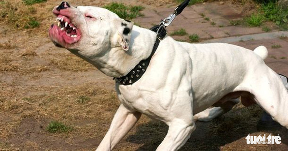 tranh-bi-cho-can-02-1621681697-1657603249947480101136 2(Read-Only) tranh-bi-cho-can-02-1621681697-1657603249947480101136 2(Read-Only)