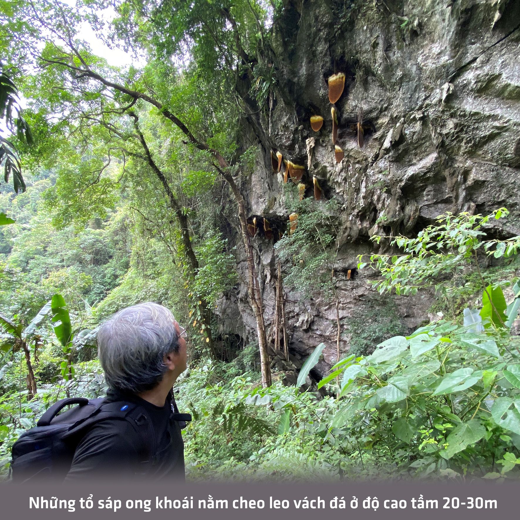 Lên Hoài Khao, ngắm sáp ong, ăn món Dao Tiền - Ảnh 8.