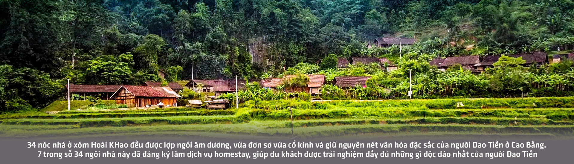 Lên Hoài Khao, ngắm sáp ong, ăn món Dao Tiền - Ảnh 1.