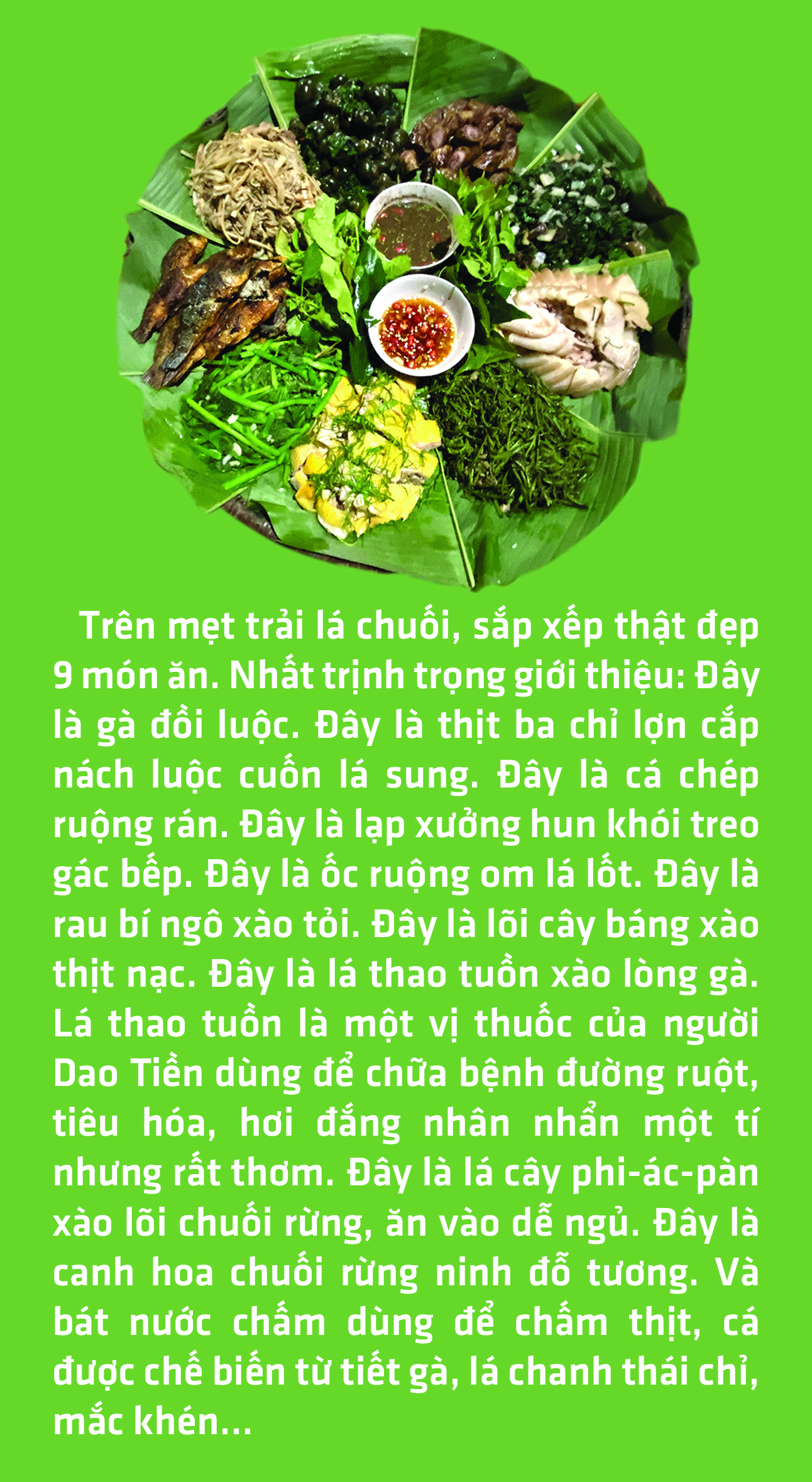 Lên Hoài Khao, ngắm sáp ong, ăn món Dao Tiền - Ảnh 13.