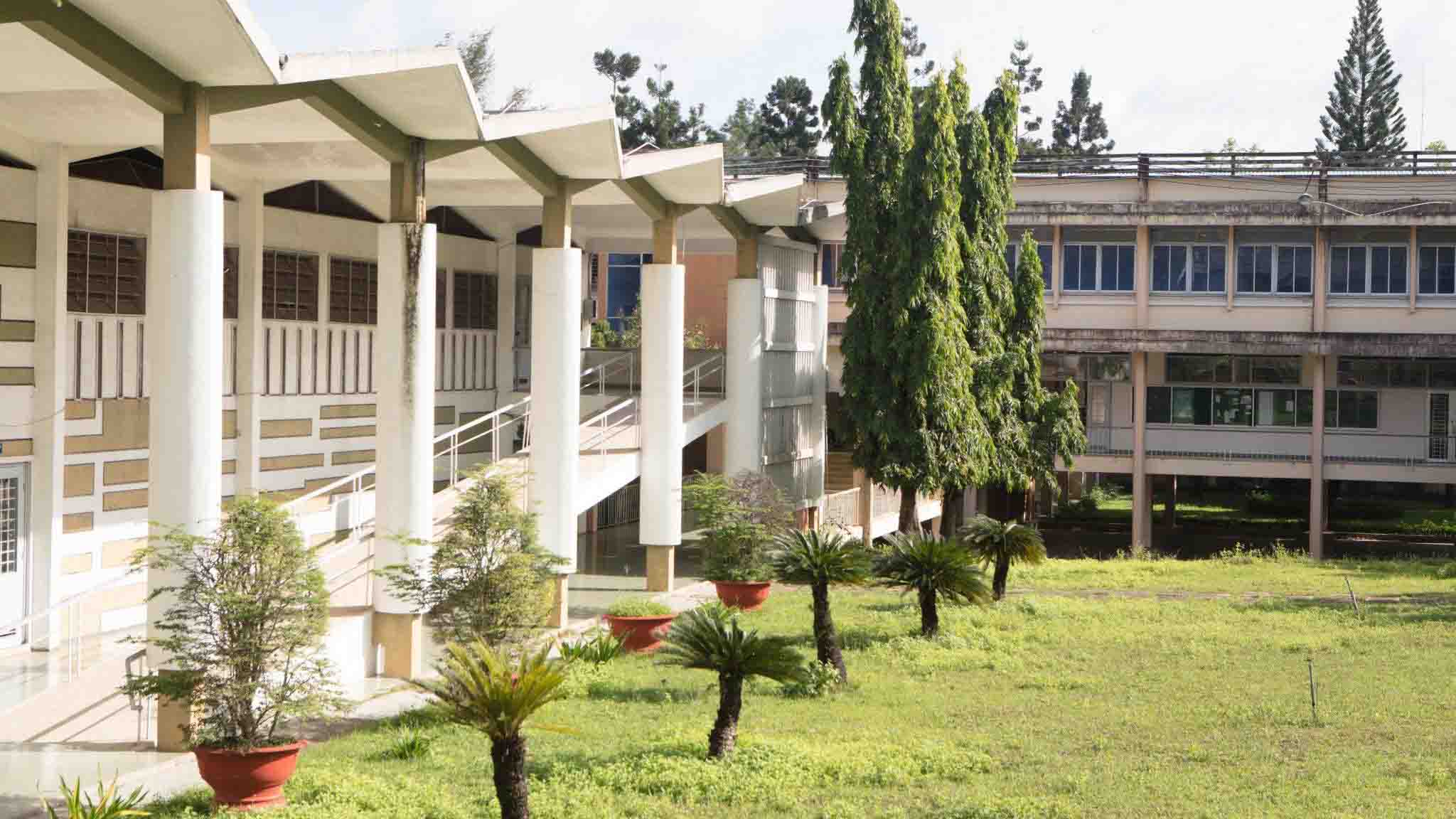 Trả lại em yêu, khung trời đại học - Kỳ 3: Đám mây thanh xuân trong khu rừng đại học - Ảnh 1. Trả lại em yêu, khung trời đại học - Kỳ 3: Đám mây thanh xuân trong khu rừng đại học - Ảnh 1.