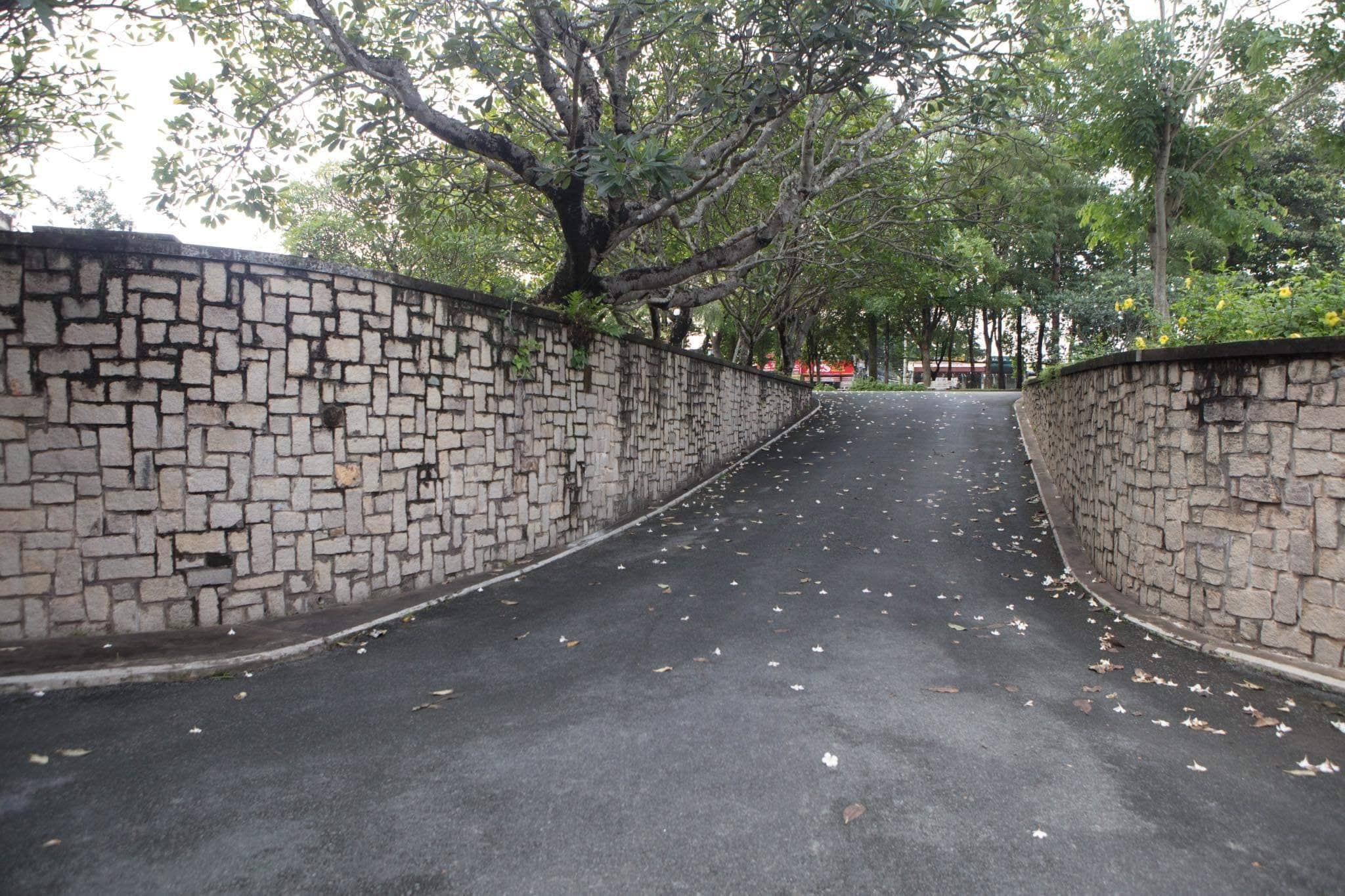 Trả lại em yêu, khung trời đại học - Kỳ 3: Đám mây thanh xuân trong khu rừng đại học - Ảnh 3. Trả lại em yêu, khung trời đại học - Kỳ 3: Đám mây thanh xuân trong khu rừng đại học - Ảnh 3.