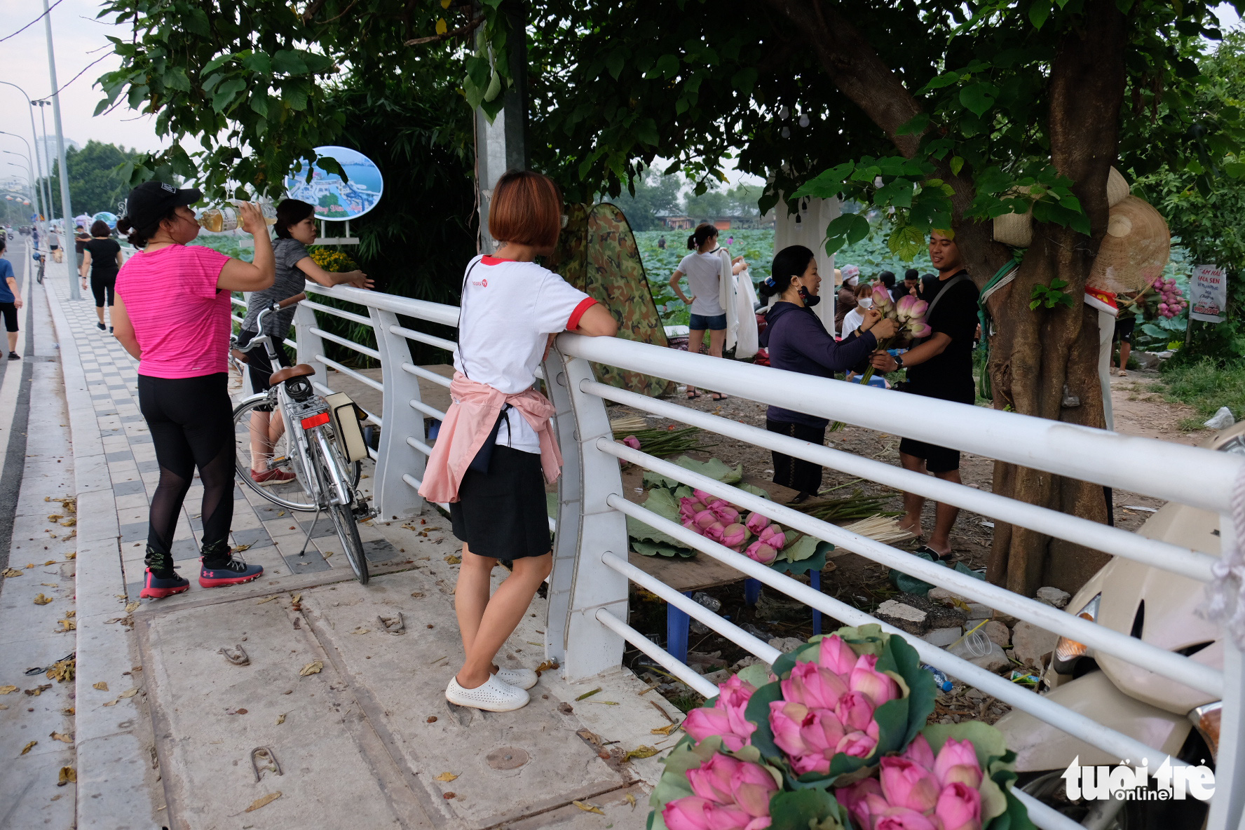 Chi tiền triệu vẫn khó mua sen hồ Tây - Ảnh 7. Chi tiền triệu vẫn khó mua sen hồ Tây - Ảnh 7.