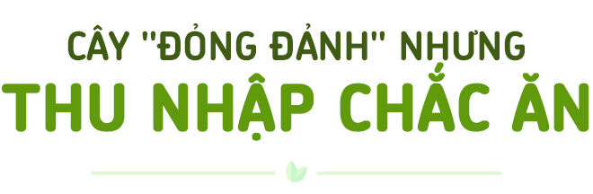 Xây nền móng cho nông nghiệp đậu nành bền vững - Ảnh 6.