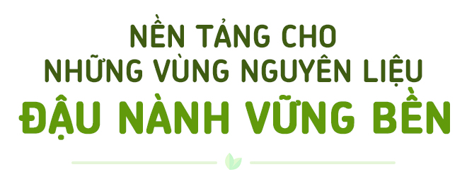 Xây nền móng cho nông nghiệp đậu nành bền vững - Ảnh 11.