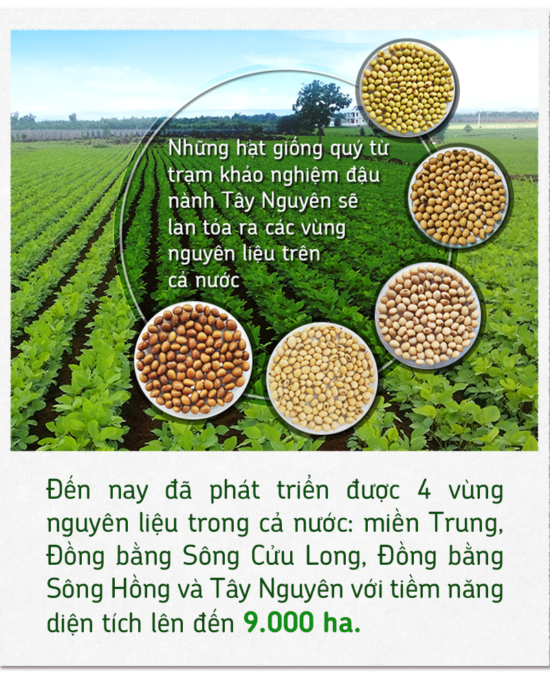 Xây nền móng cho nông nghiệp đậu nành bền vững - Ảnh 14.
