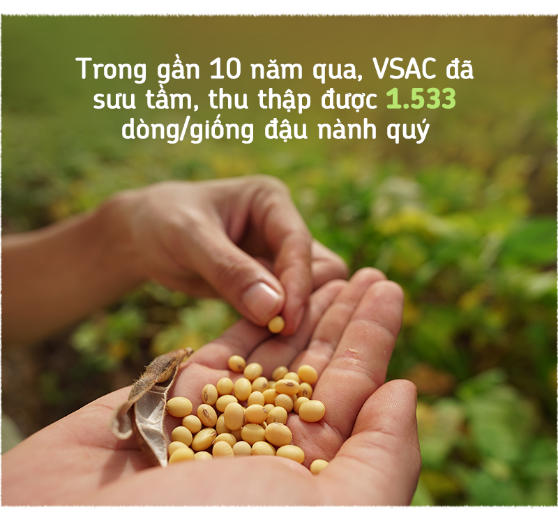 Xây nền móng cho nông nghiệp đậu nành bền vững - Ảnh 3.