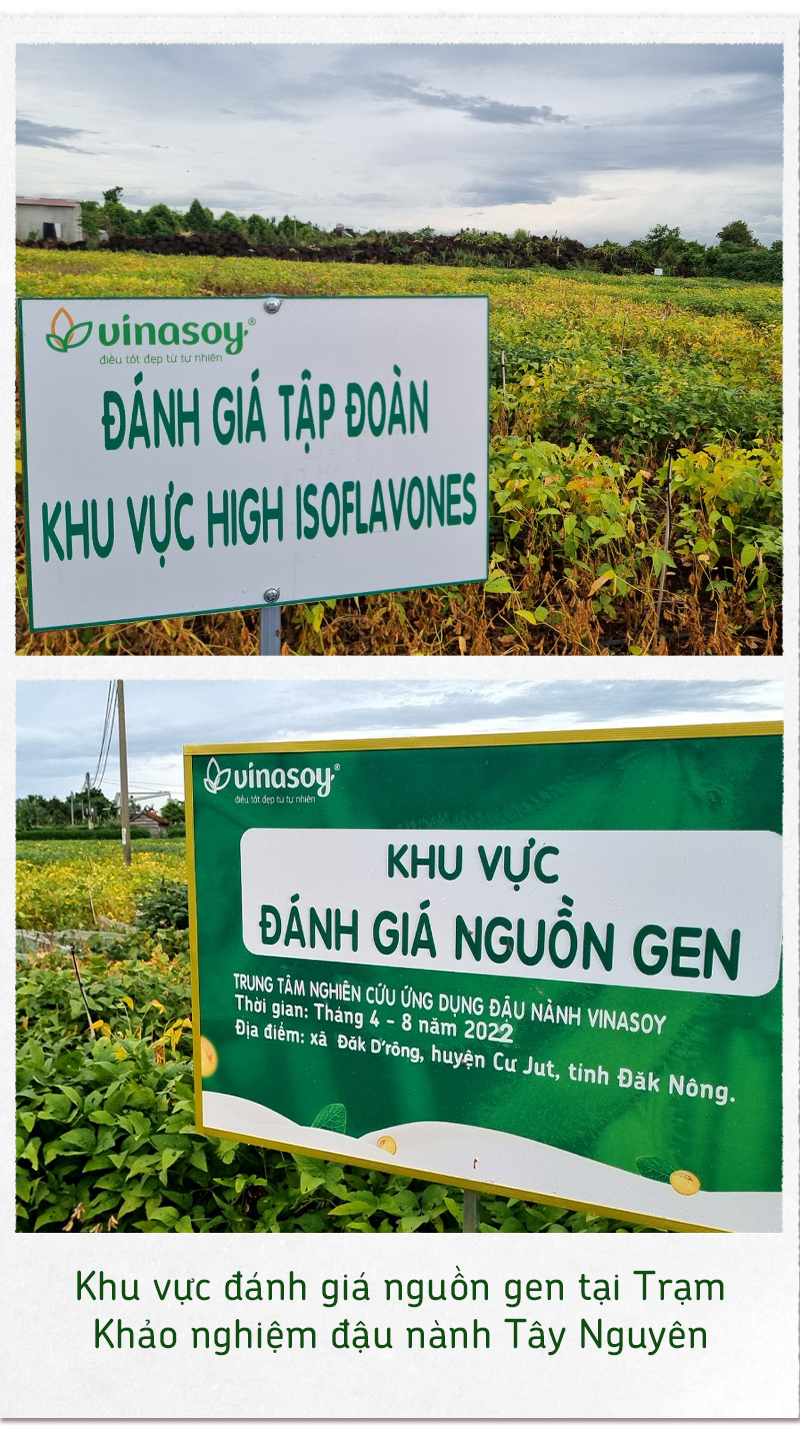Xây nền móng cho nông nghiệp đậu nành bền vững - Ảnh 4.