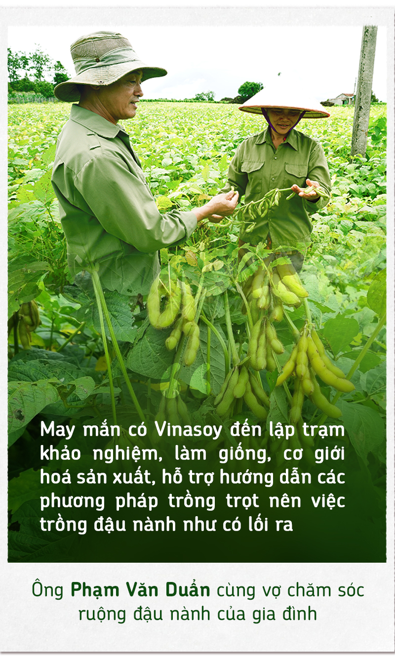 Xây nền móng cho nông nghiệp đậu nành bền vững - Ảnh 7.
