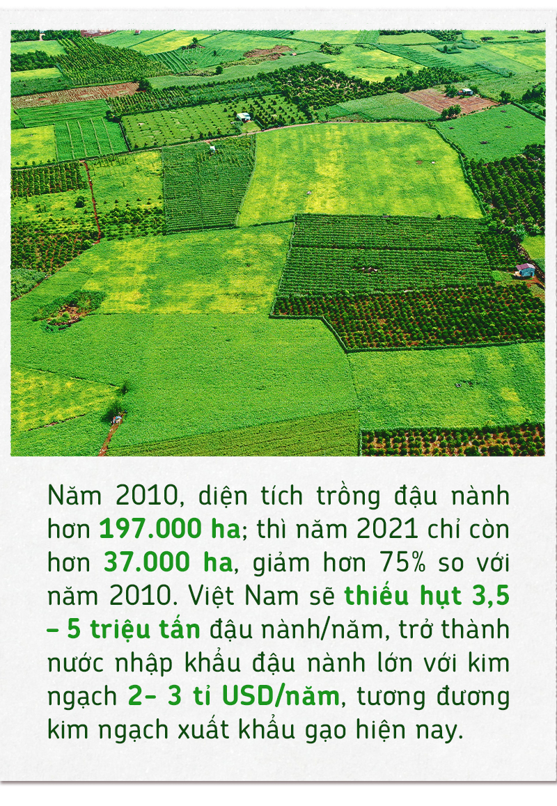 Xây nền móng cho nông nghiệp đậu nành bền vững - Ảnh 12.