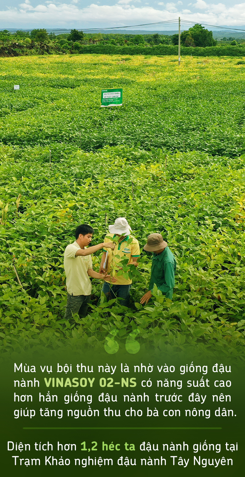 Xây nền móng cho nông nghiệp đậu nành bền vững - Ảnh 10.